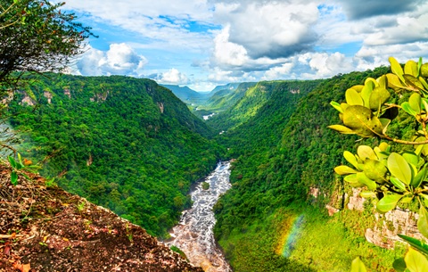 The Potaro river at Kaieteur Falls in Guyana, South America
